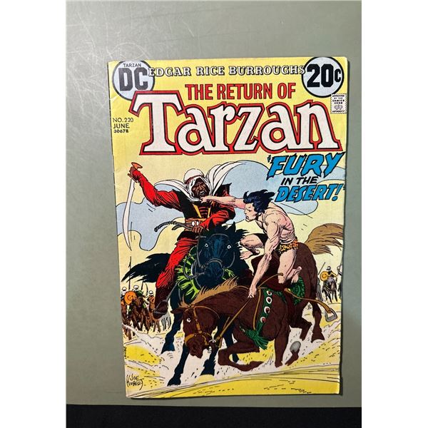 Tarzan #220 (DC, 1973) The Return of Tarzan - Fury in the Desert!