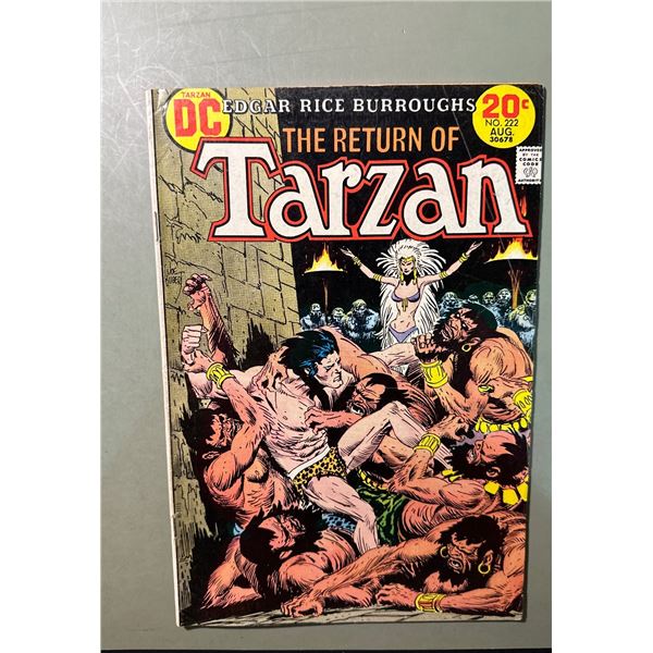 1973 DC Comics Edgar Rice Burroughs Tarzan #222 The Return of Tarzan