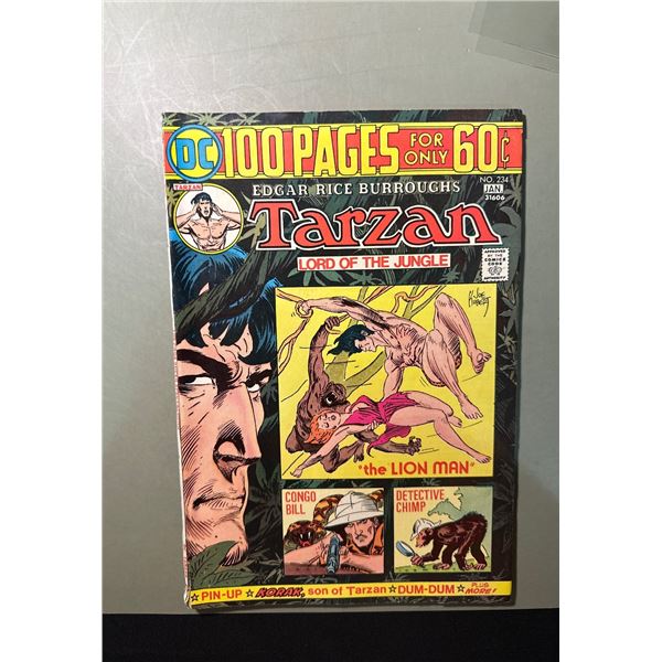 1975 DC Edgar Rice Burroughs Tarzan #234 Lord of the Jungle Comic Book