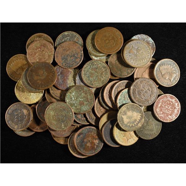 (53) INDIAN HEAD CENTS