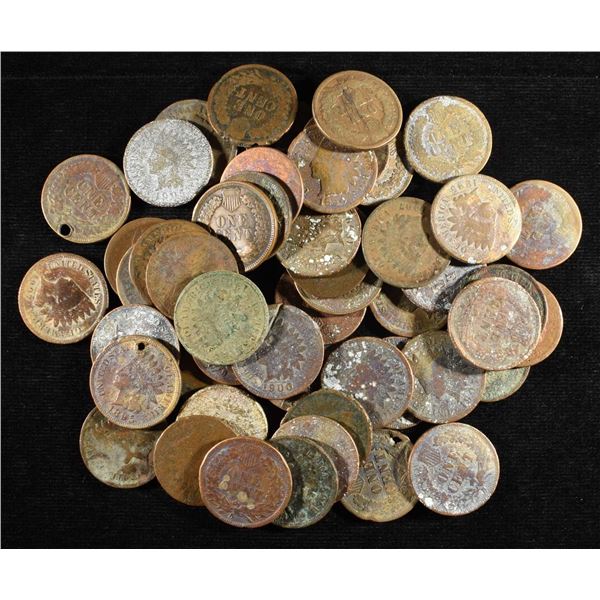 (50) INDIAN HEAD CENTS