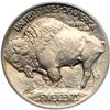 Image 2 : 1913-D Buffalo 5C. Type 1
