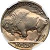 Image 2 : 1913 Buffalo 5C. Type 2 NGC MS65
