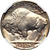 Image 2 : 1937-S Buffalo 5C NGC MS66 Star