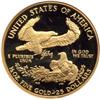 Image 2 : 1993-P $25 Eagle NGC PF69 UC