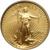 Image 1 : 2006-W $10 American Gold Eagle