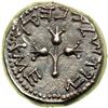 Image 2 : The Jewish War. AR Shekel (14.0 g). Year 2 (67/68 CE)