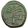Image 2 : Bar Kokhba War. Small Bronze dated year One (132/3 CE)