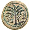 Image 2 : Bar Kokhba War. Small Bronze dated year One (132/3 CE)
