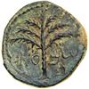 Image 2 : Bar Kokhba War. Small Bronze attributed to year 3 (134/