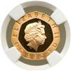 Image 1 : Great Britain. Gold Proof 20 Pence or Florin, 2002