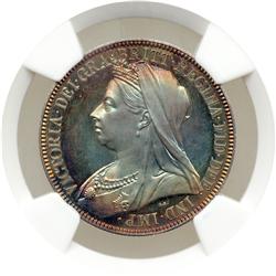 Great Britain. Proof Florin, 1893