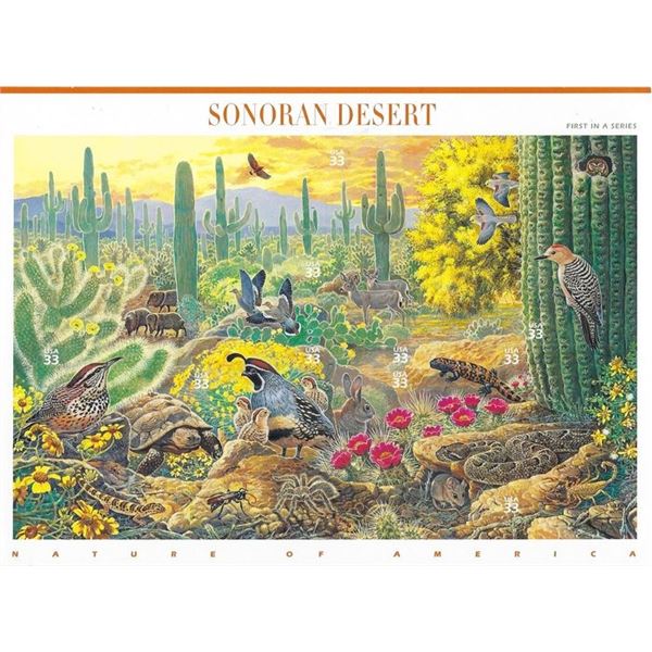 Sonoran Desert Stamp Set