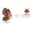 Image 1 : The San Ildefonso FDC