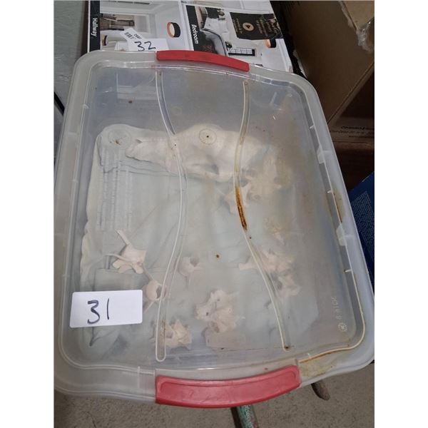 BOX OF ASSORTED FOSSILS