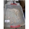 Image 1 : BOX OF ASSORTED FOSSILS