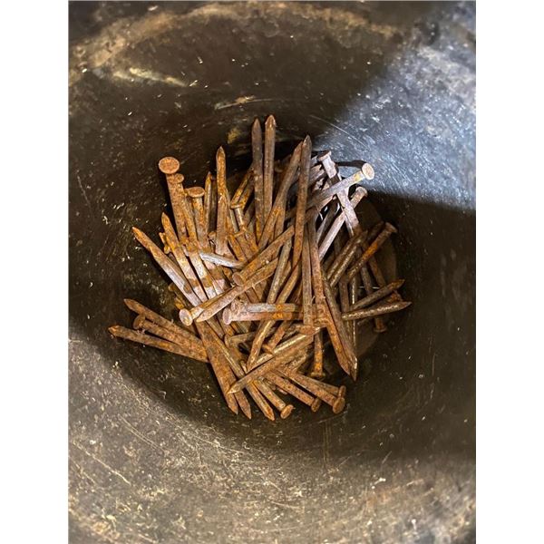 1/4PAIL OF 7IN SPIKES