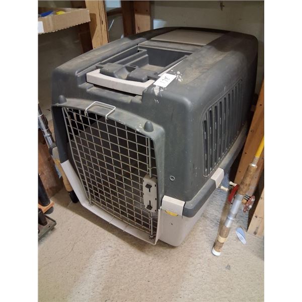 DOG KENNEL