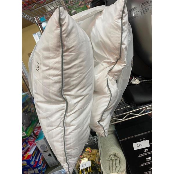 2 PILLOWS
