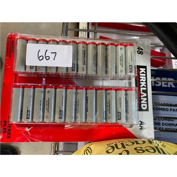 48 AA BATTERIES