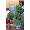 Image 1 : 2 ARTIFICIAL DECORATION PLANTS