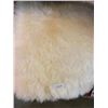 Image 1 : 70X24IN SHEEP SKIN RUG