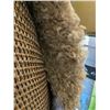 Image 4 : SHAG CREAM COLOUR AREA RUG - UNSURE OF SIZE BUT GUESSING 8X8FT - LITTLE DIRTY ON ENDS