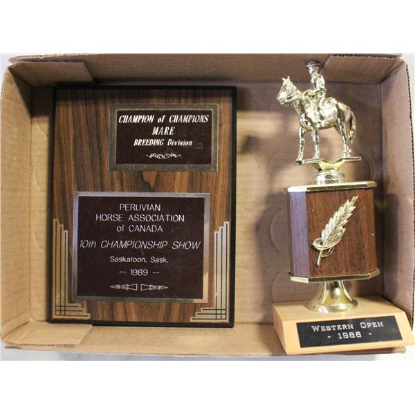 HORSE TROPHIES