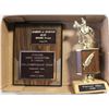 Image 1 : HORSE TROPHIES