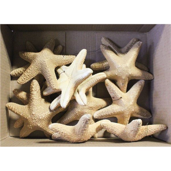 BOX OF 12 STARFISH