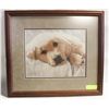 Image 1 : VINTAGE 2001 #262/1250 COA "PERSONALLY