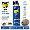 Image 1 : RAID WASP & HORNET KILLER 400G