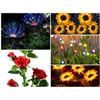 Image 1 : FEATURED SOLAR LIGHTS