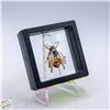 Image 1 : NEW BEE BROOCH GOLDTONE WHITE ENAMEL