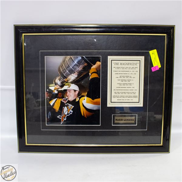 MARIO LEMIEUX THE MAGNIFICENT ONE 20X24