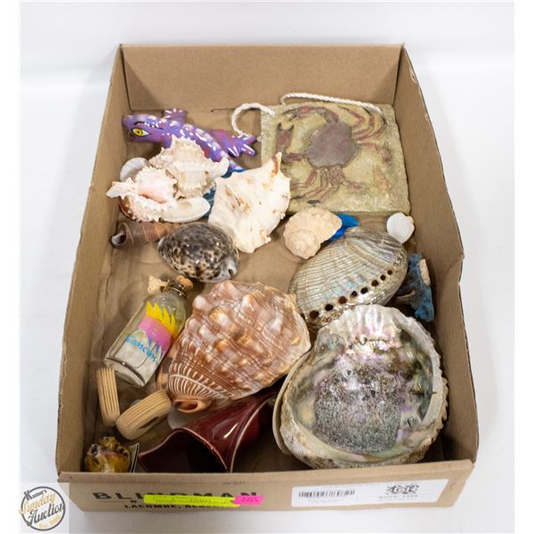 FLAT OF SEASHELLS AND RELATED DÉCOR