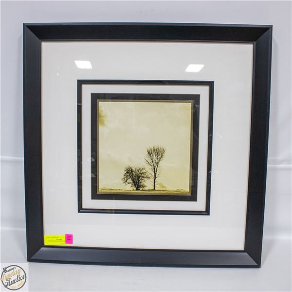 FRAMED 2008 ARTIST ALICIA SOAVE