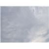 Image 1 : Empty Lot