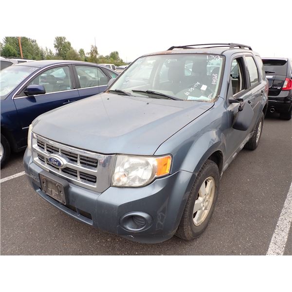 2010 Ford Escape