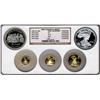 Image 1 : 1993-P Eagles 5 Coin Set NGC PF68-69