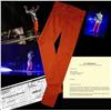 Image 1 : Michael Jackson ''This Is It'' Worn Pants