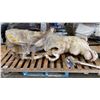 Image 2 : 100% IMITATION LARGE ALBINO MOOSE PROP WITH ASSORTED EXTRA ANIMAL ANTLERS