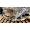 Image 4 : 100% IMITATION LARGE ALBINO MOOSE PROP WITH ASSORTED EXTRA ANIMAL ANTLERS