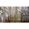 Image 2 : HUNTERS CABIN FOREST SCENE FILM INDUSTRY BACK DROP IN LARGE WOOD CRATE
