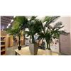 Image 2 : GROUP OF 4 LARGE POTTED ARTIFICIAL TROPICAL PLANTS