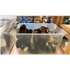 Image 4 : GROUP OF 5 PLASTIC STORAGE BINS OF ASSORTED SHOES
