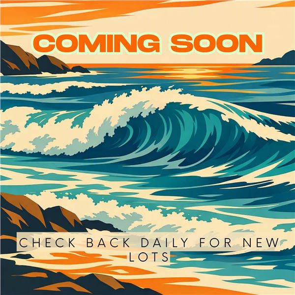 Check Back Daily For New Lots!