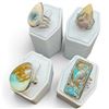 Image 2 : 4 New Gemstone & Agate Rings * all stamped .925 * (Ocean Jasper, Copper Turquoise, and Picture Jaspe