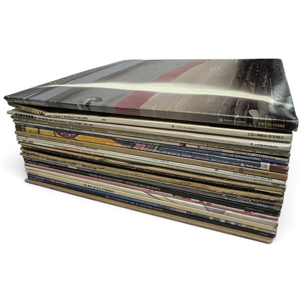 Mixed Vinyl Records Collection w Various Artists & Genres