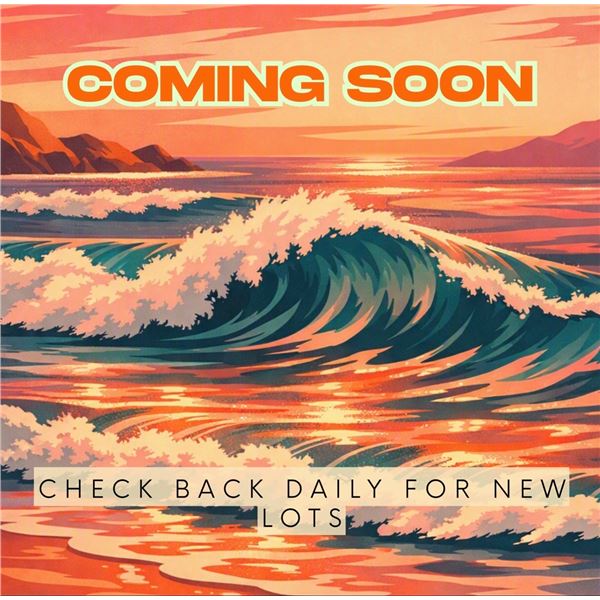 Check Back Daily for New Lots!
